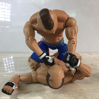 MÔ HÌNH Nhân vật Đấu Võ MMA