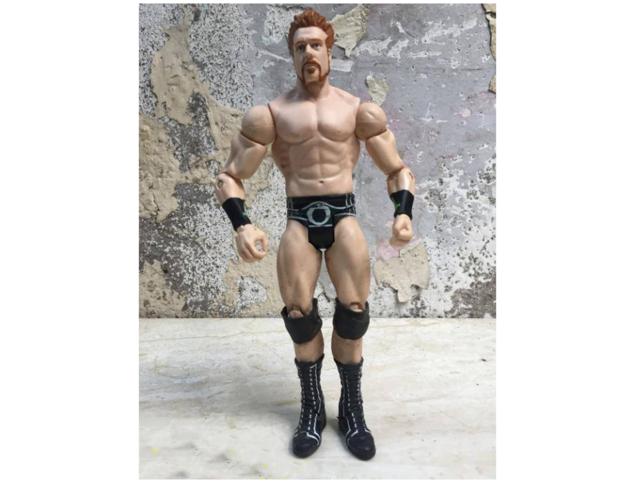 Nhân vật SmackDown WWE 18cm 06 Nhân vật SmackDown WWE 18cm 06
