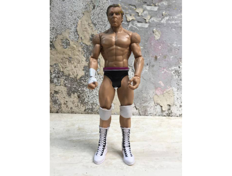 Nhân vật SmackDown WWE 18cm 08 Nhân vật SmackDown WWE 18cm 08